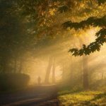 دانلود آهنگ جدید ترکی قیز قربانین اولایدیم جان لیلا